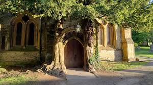 Image result for Stow-On-The-Wold & District Rfc