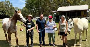 Image result for Riding For The Disabled