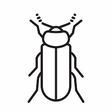 Attēlu rezultāti vaicājumam “Tetratoma fungorum”