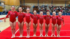 Image result for City Of Liverpool Gymnastics Club
