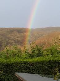 Image result for Clevedon Scrabble Club