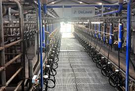 Image result for Hale Barns Dojo