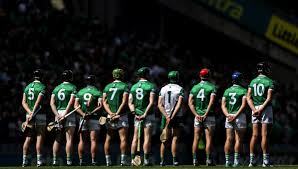 Image result for University Of Limerick Gaa Hurling Club