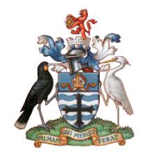 Image result for Nelson Cc