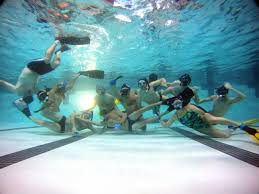 Image result for TAROT Octopush Club