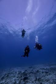 Image result for Divemaster Scuba