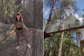 Image result for Go Ape! Alice Holt