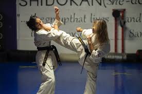 Image result for Trusted Guard Martial Arts Dojo