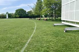 Image result for Chelmsford Netball Club