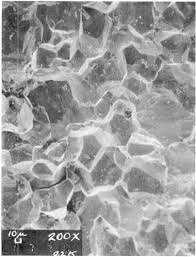 Image result for SEM micrographs of Novaculite Arkansas