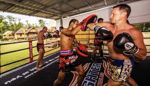 Image result for Petch Yin Dee International Muay Thai Boxing Camp
