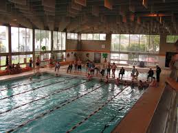 Image result for Teddington Swimming Club