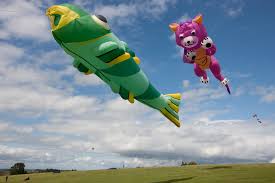 Image result for Kite Ireland