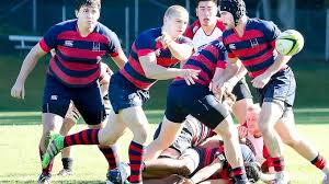 Image result for St Mary's Old Boys Rugby Union Football Club
