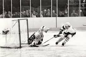 Image result for West Coast Wasps Skater Hockey Club