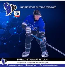 Image result for Basingstoke Buffalo