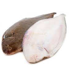 Image result for Solea solea