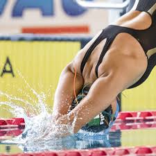 Image result for Swansea Finswimming Club
