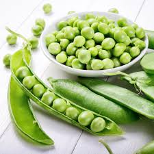 Attēlu rezultāti vaicājumam “Pisum sativum fruit”