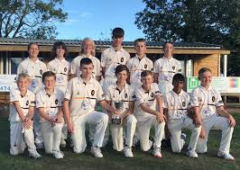 Image result for Louth Cricket Club