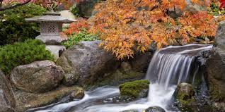 Image result for japanese gardens...