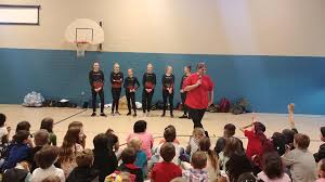 Image result for Devizes Dazzlers