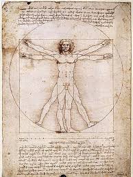 Image result for numero aureo