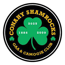Image result for Shamrocks Hurling & Football Club