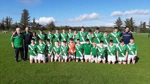 Image result for Shamrocks Hurling & Football Club