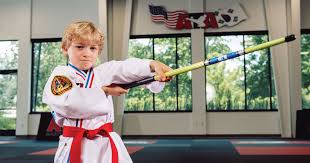 Image result for ATA Martial Arts Maple Ridge