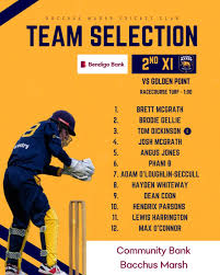 Image result for Over Stowey Cricket Club