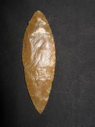 Image result for feuille-laurier-silex