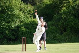 Image result for Fareham and Crofton Cricket Club