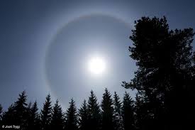 Kuvahaun tulos haulle haloilmi