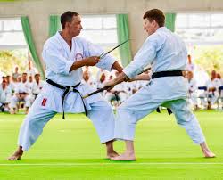 Image result for Windsor Karate Club