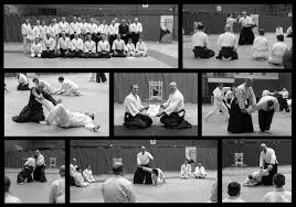 Image result for Durham City Aikikai