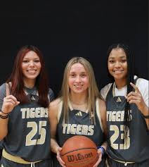 Image result for Aireborough Arrows Basketball team