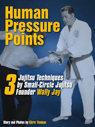 Image result for Komaru Ryu Small Circle Jujitsu/Karate