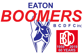 Image result for Capel Football Club