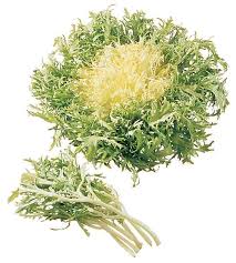 Image result for Endivie