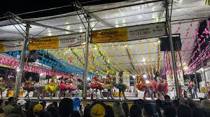 Attēlu rezultāti vaicājumam “Fuligo licentii young”