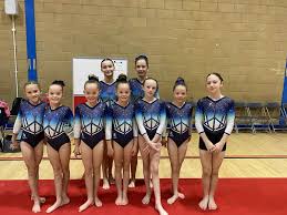 Image result for Crewe & Nantwich Gymnastics Club