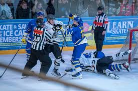 Image result for Milton Keynes Thunder