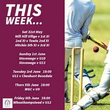 Image result for Hatfield Hyde Cricket Club