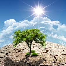 Image result for foto  de uma vida