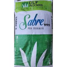 Attēlu rezultāti vaicājumam “Poa trivialis”