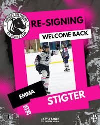 Image result for Haringey Greyhounds Ice Hockey Club