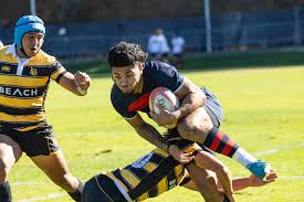 Image result for St Mary's Old Boys Rugby Football Club