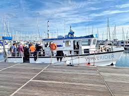 Image result for Mole Valley Sub Aqua Club