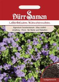 Image result for Leberbalsam